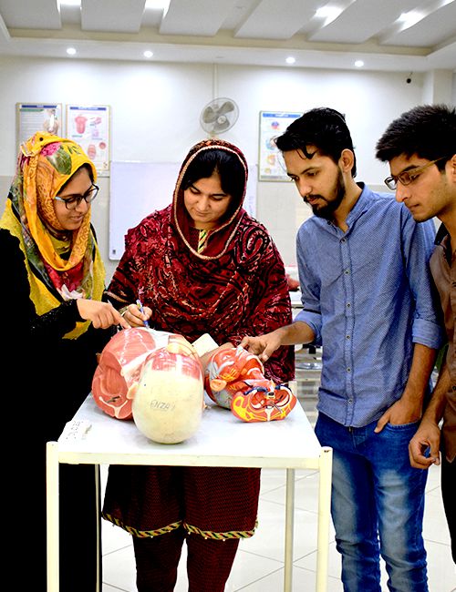 Labs-Anatomy-Pak-Red-Crescent-Medical-College